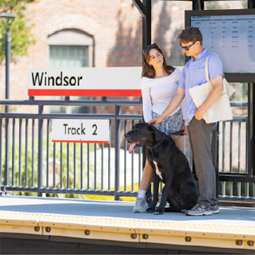 young couple with dog waiting on train platform